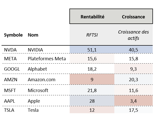 Mag 7 profitability