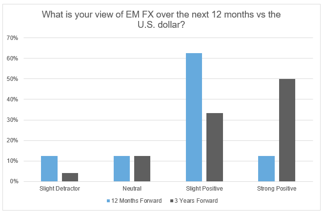 what is your view of EM FX over the next 12 months versus the US dollar