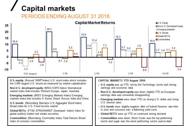 chart about capital market returns