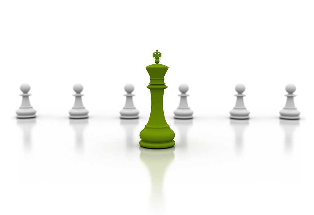 White green chess pieces white background