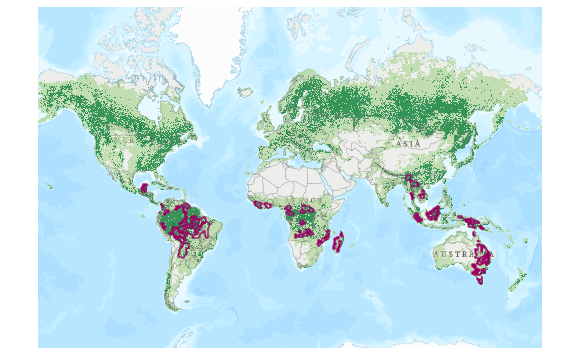 WWF 산림 파괴 지도