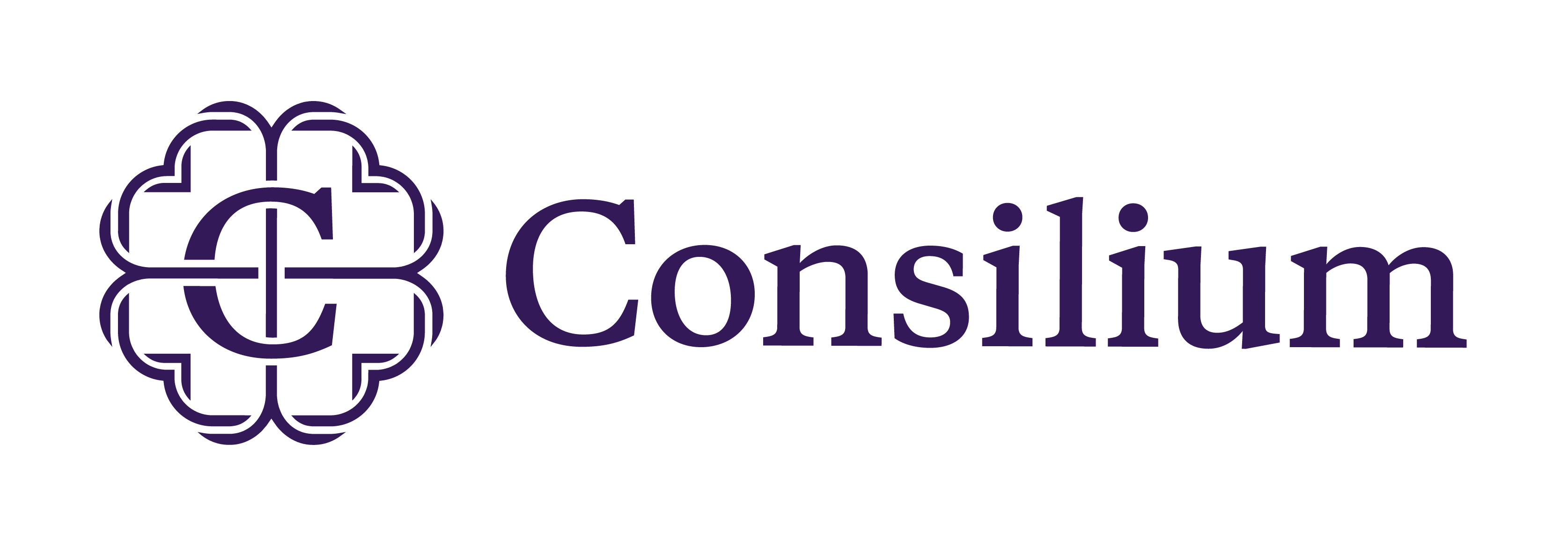 Consilium Logo