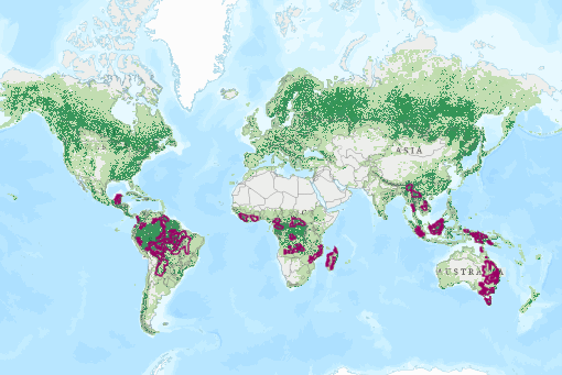 WWF Deforestation Map