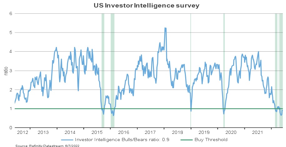Investor intelligence survey