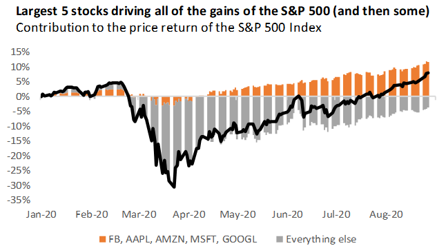 Highly concentrated SP 500 Index