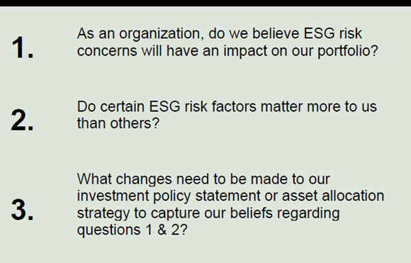 ESG beliefs