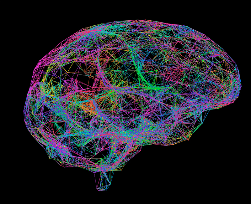 Colorful brain illustration