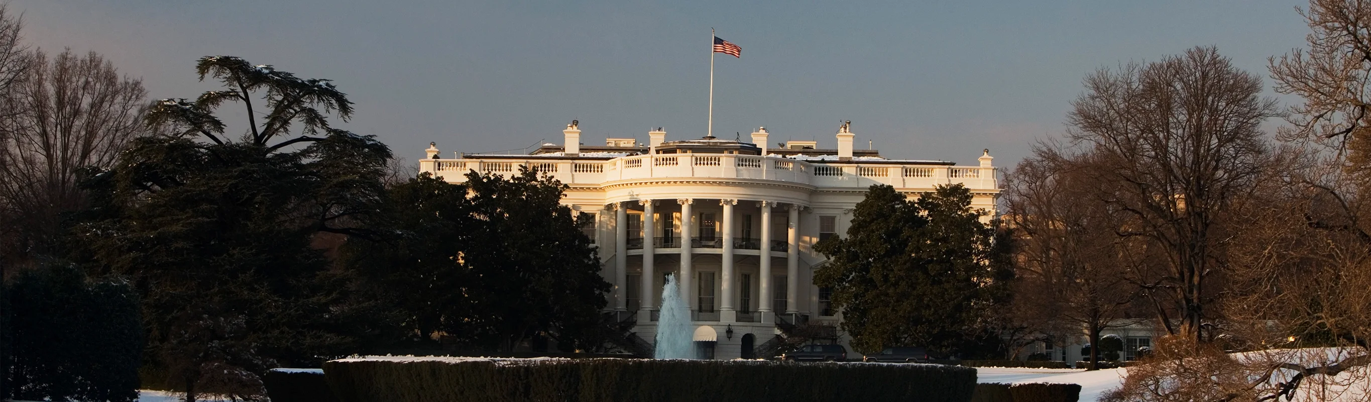eitelmantrump2_hero