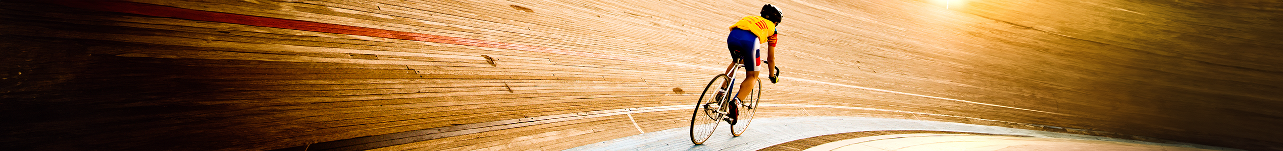 how_portfolio_performed_article_banner