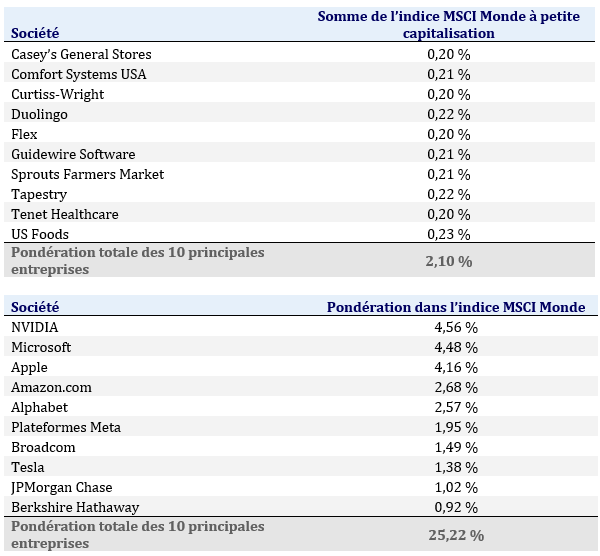 MSCI World Index Company Weightings Chart