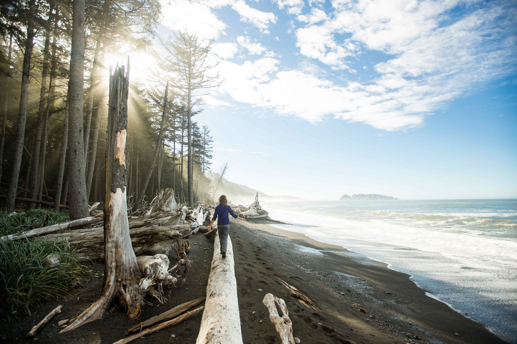 Person walking along driftwood on sunny beach