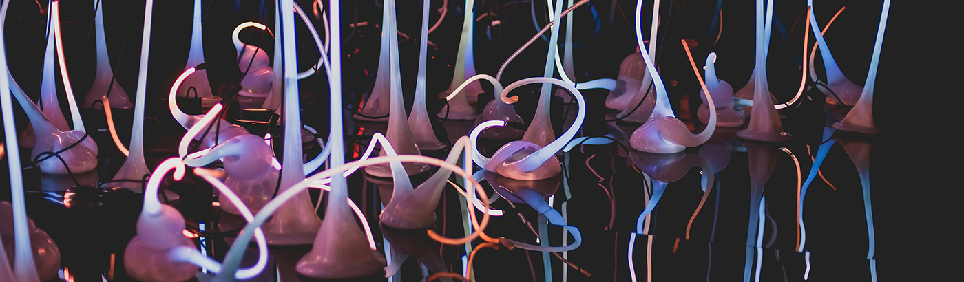 article_2_portfolio_performed_banner