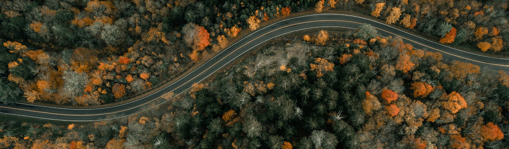 winding road