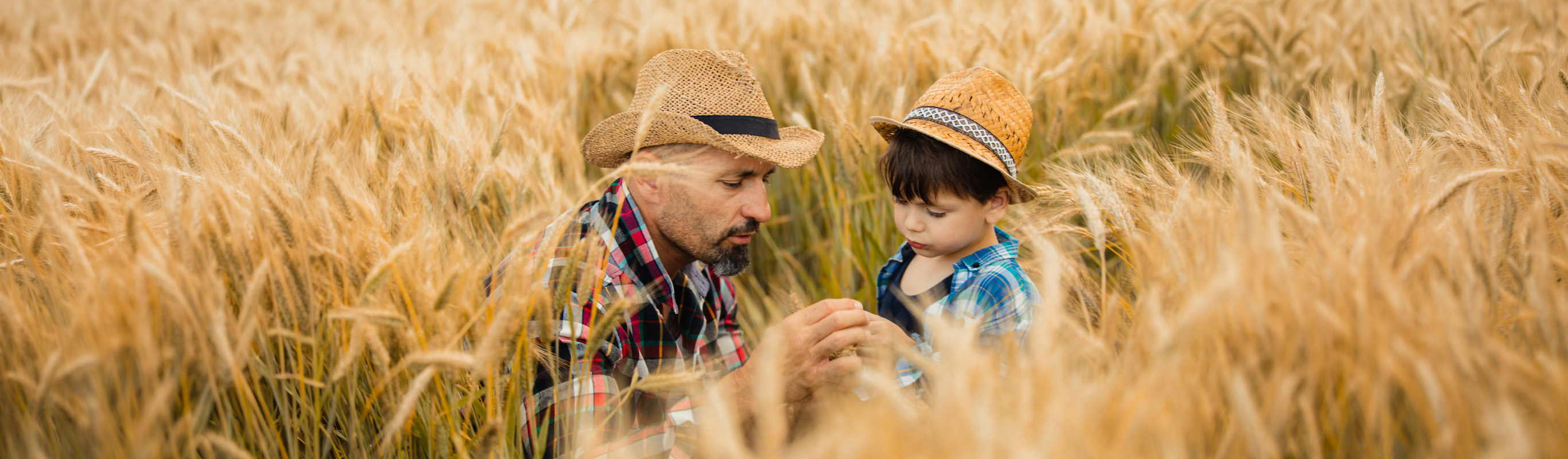 The great retirement transition explained 