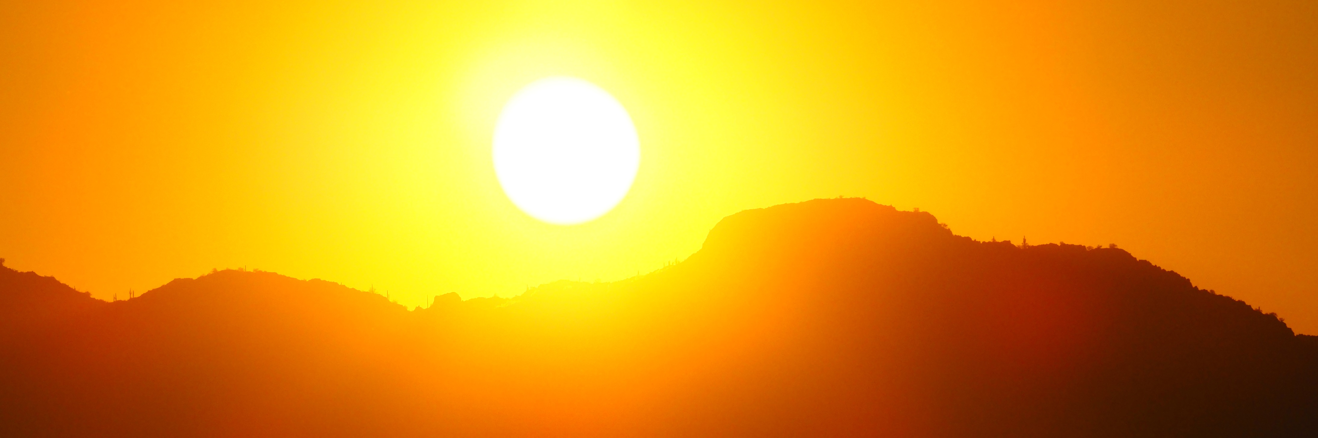 sun