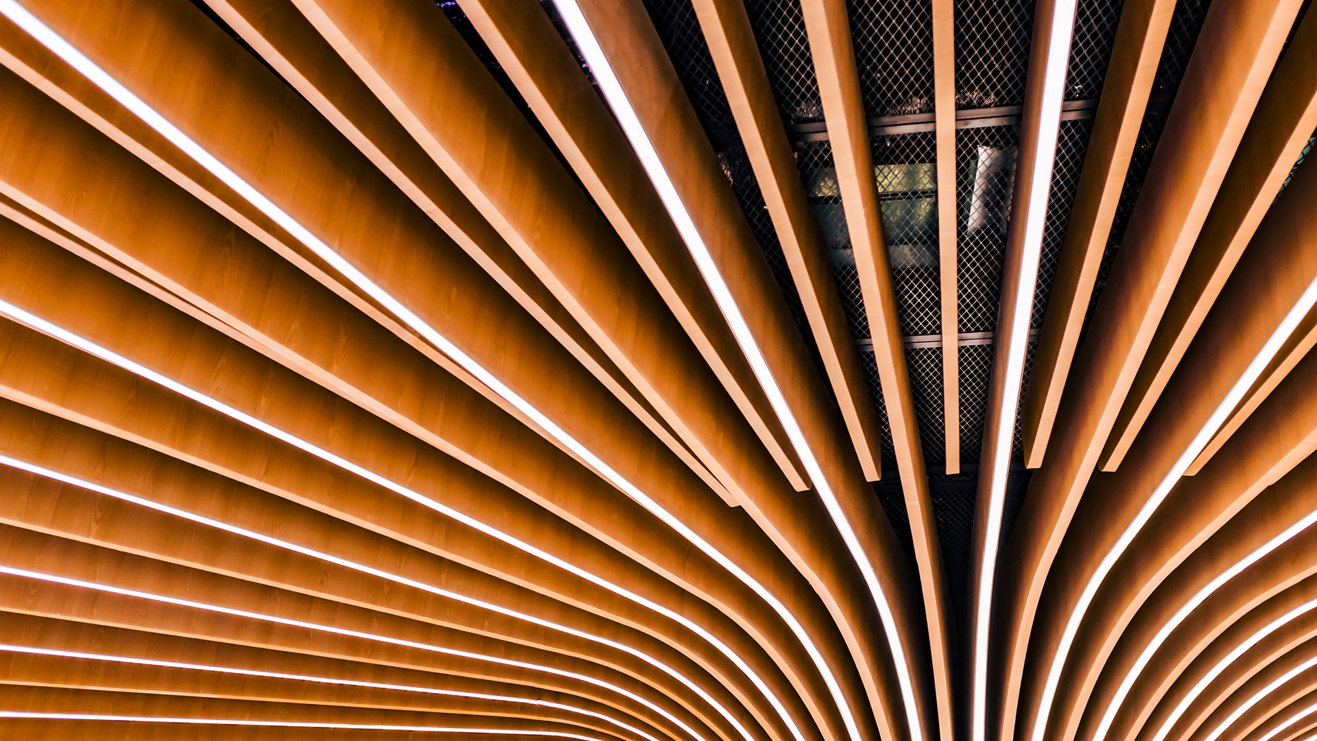 Abstract architectural ceiling with curved wooden slats and integrated white lighting