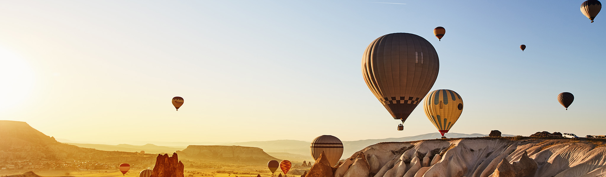 運用機関調査インサイト