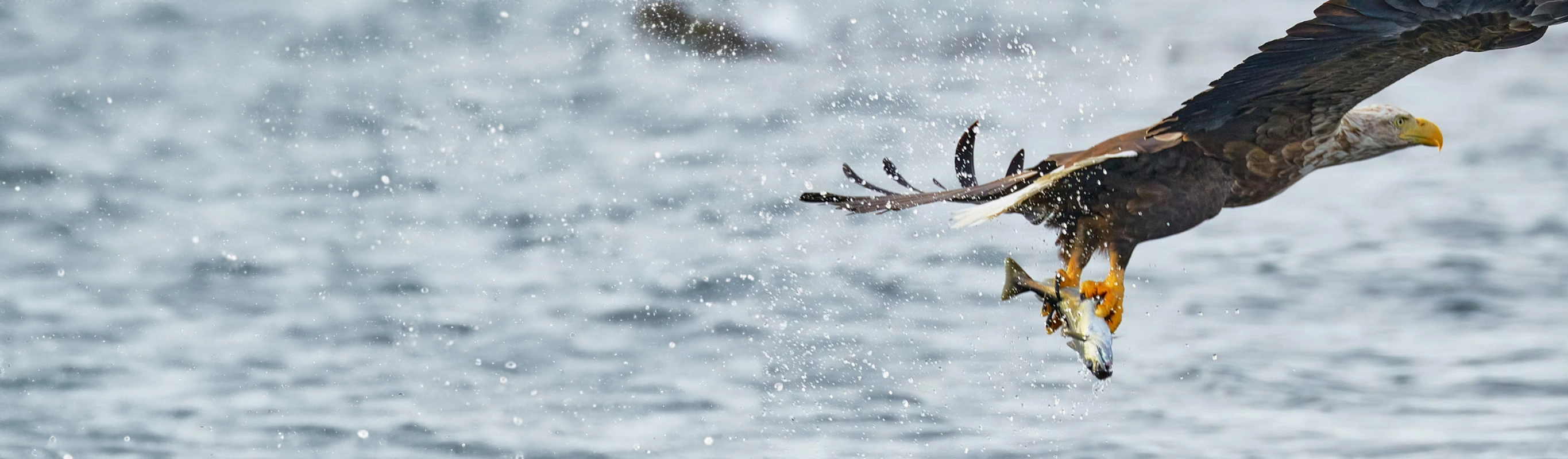 Thinking about market timing