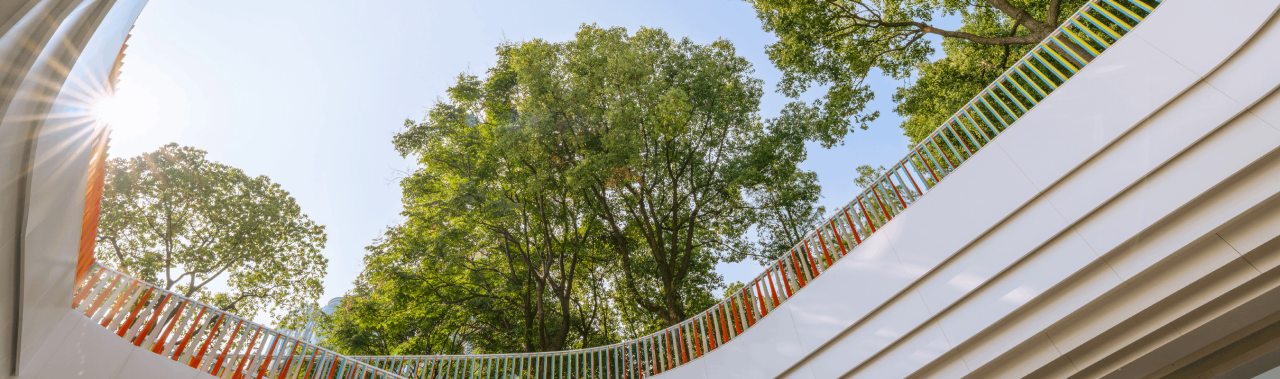 Modern courtyard opening toward sunlit trees