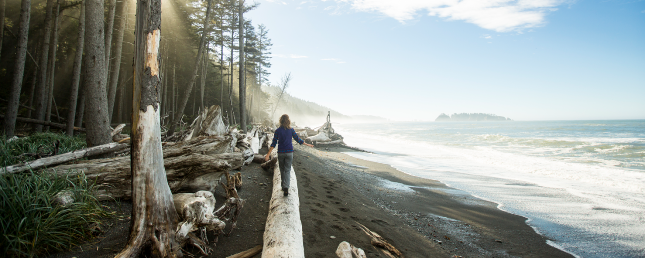 Child balancing on driftwood along misty forest beach