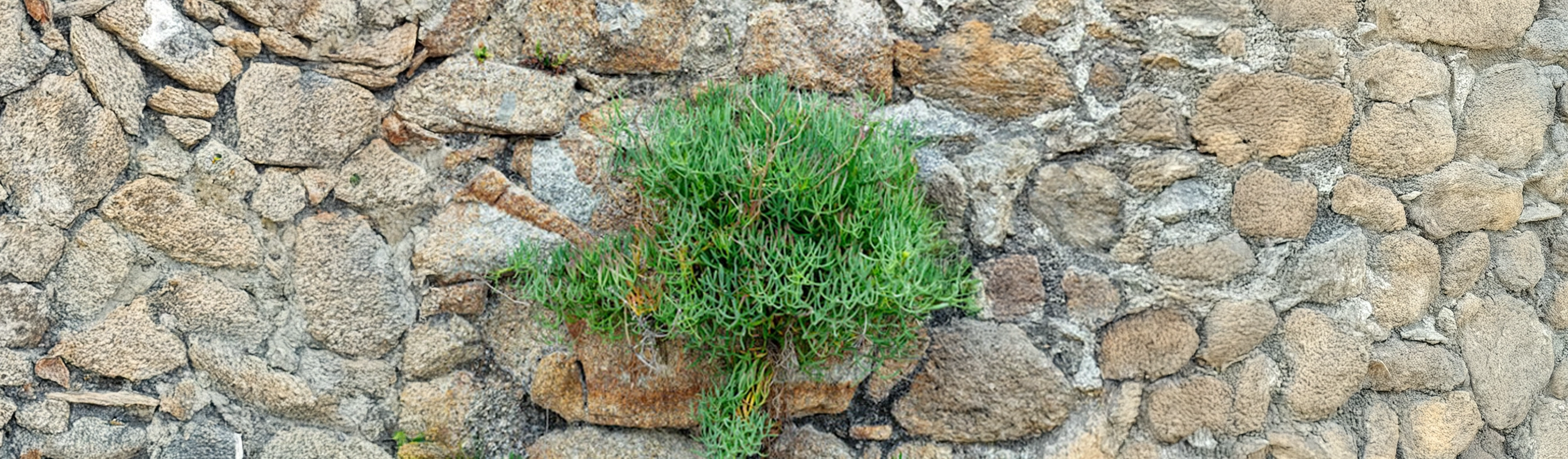 Direct Indexing in an Era of Extreme Volatility