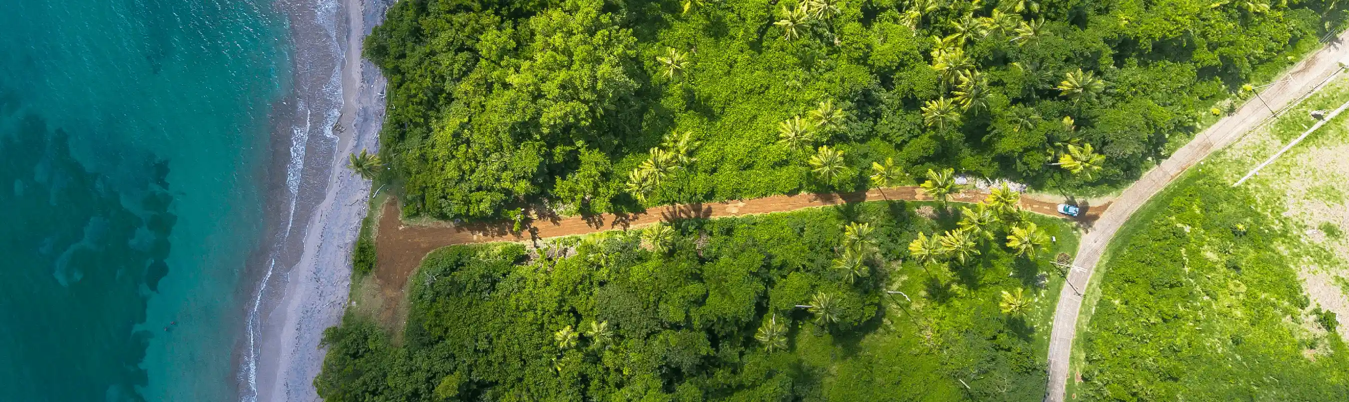 Aerial view of tropical coastline and road