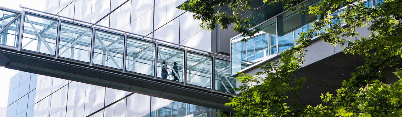 Business men walking on sky bridge.