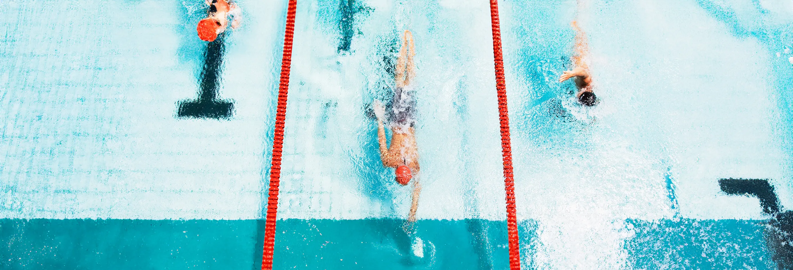 Swimmers racing in a pool