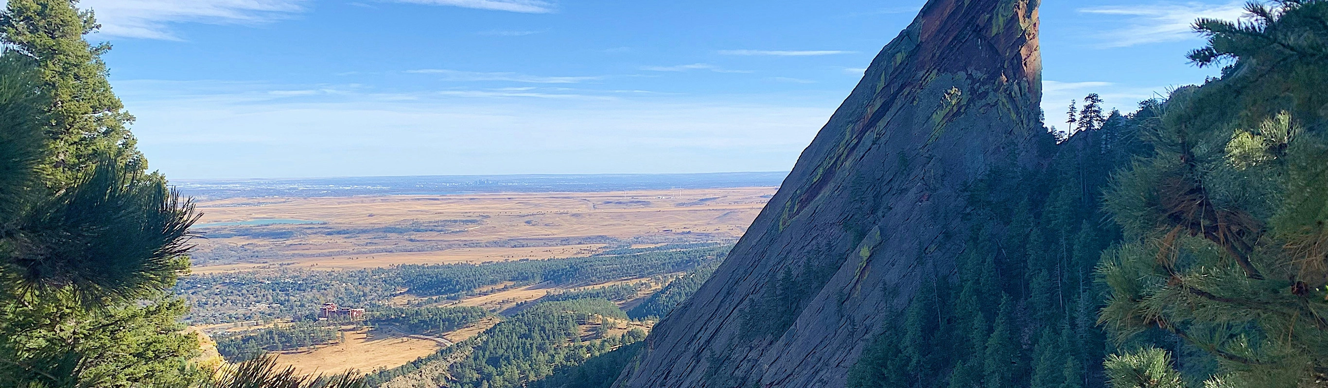 Customized Portfolio Solutions and Trading 2024 Year-in-Review