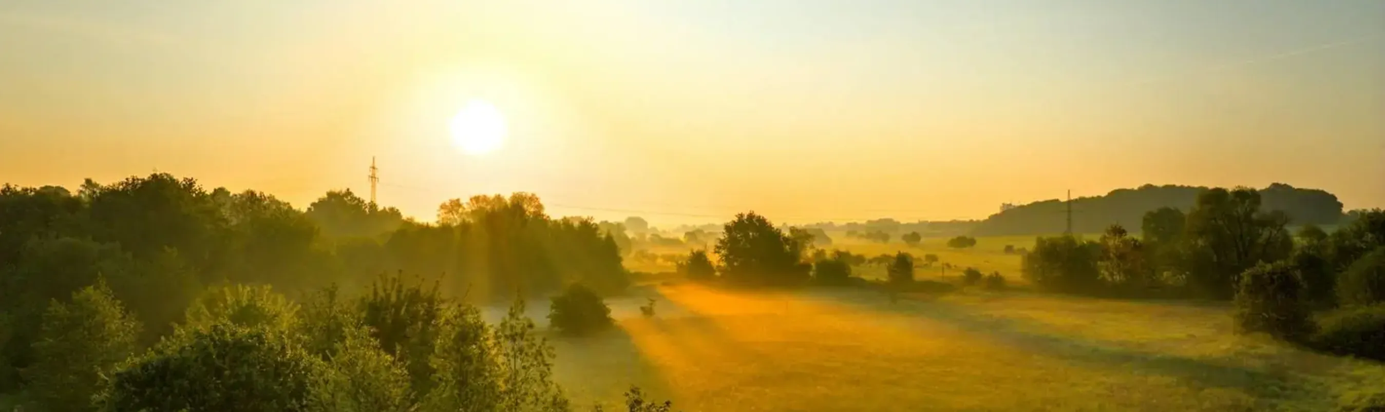 Sunrise over a green European landscape with trees and fields, symbolising growth and new opportunities in defence technology investment