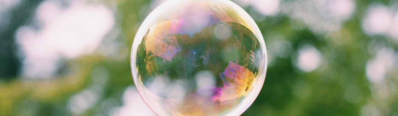 dongosoria_052924_hero