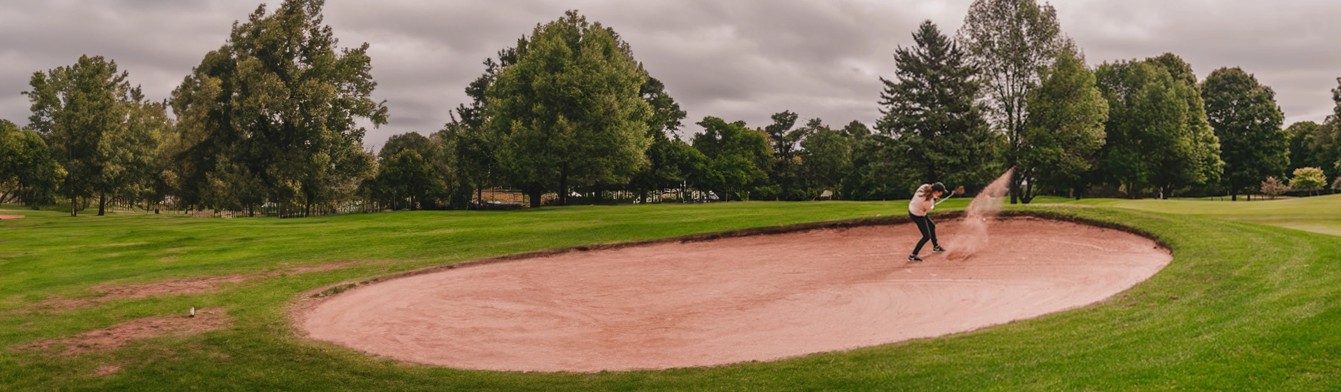 kuharic5taxtrapshero